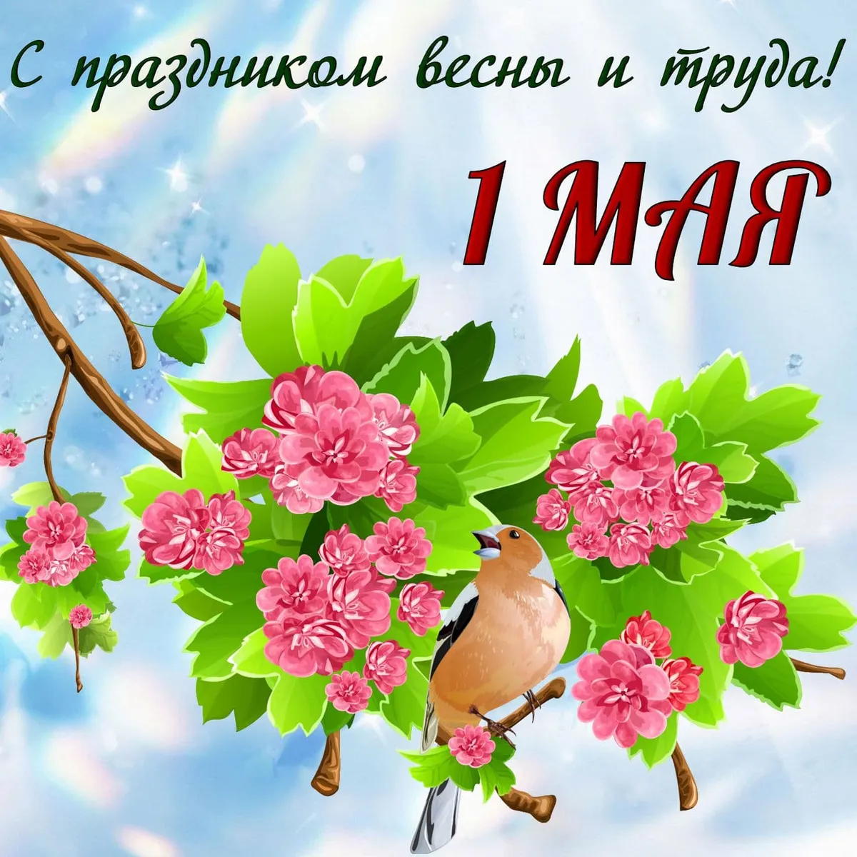 1 мая — DE news