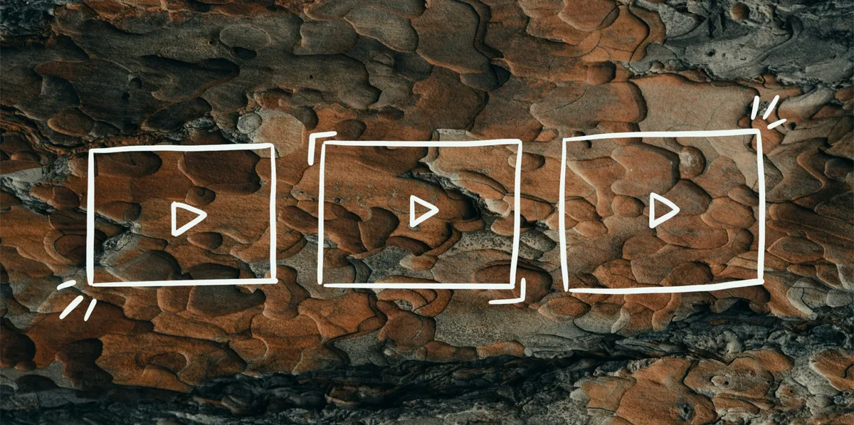 course — DE news