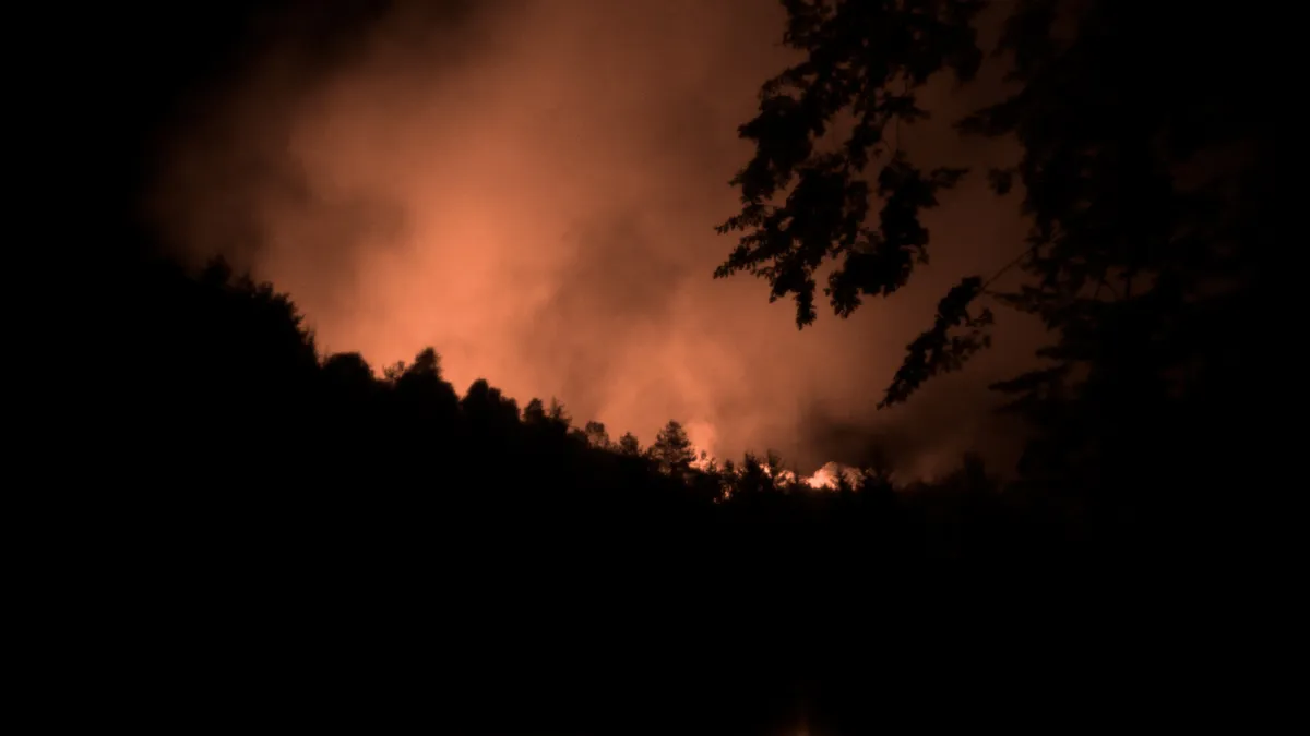 waldbrand böhmische schweiz — DE news